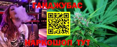 прущие грибы Моздок