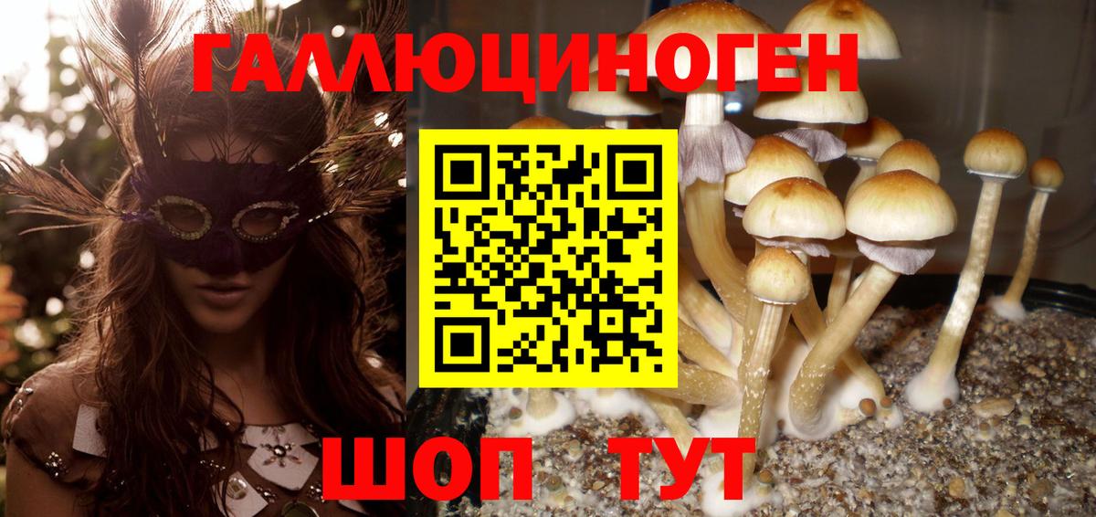 Галлюциногенные грибы мухоморы Городец
