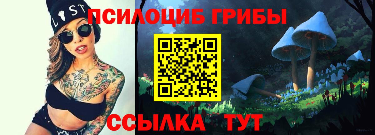 Городец  Галлюциногенные грибы ЛСД  Вход с VPN  Галлюциногенные грибы GOLDEN TEACHER 
